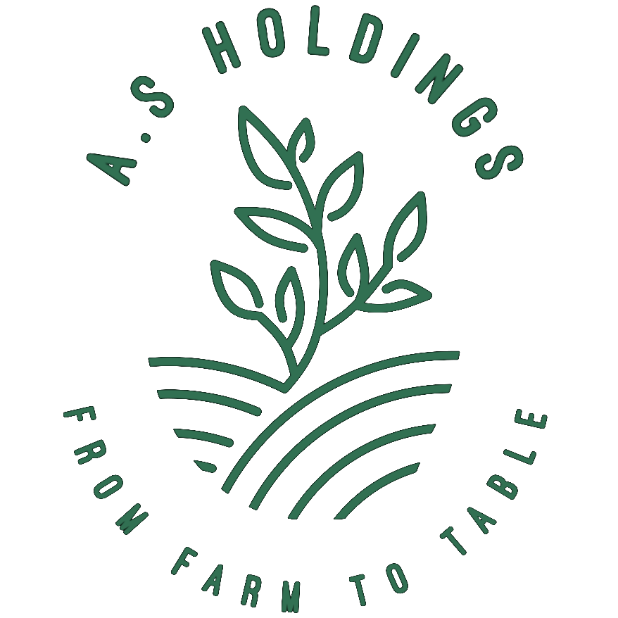 A.S Holdings logo