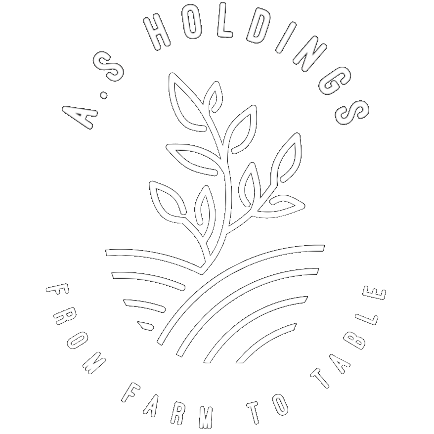 AS Holdings logo
